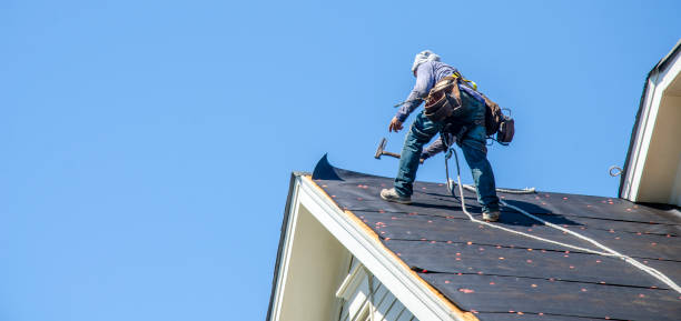 Best Roof Gutter Cleaning  in West Linn, OR